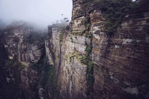 Pulpit Rock Cliffs - Connor White.