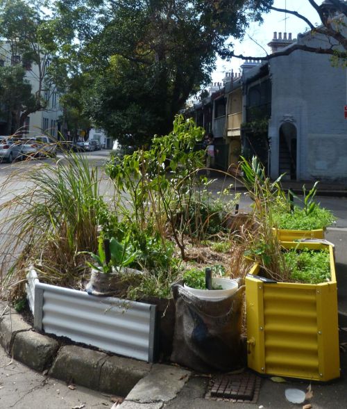 Community street gardens. Nature strips you can eat. 
