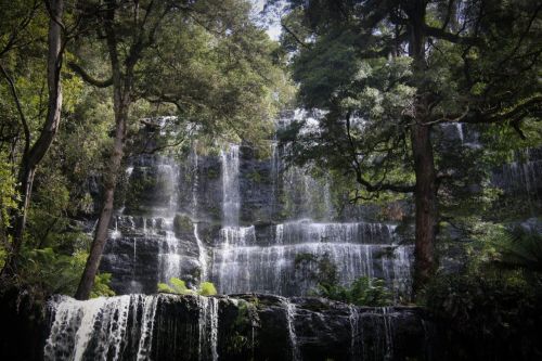 We marvelled at Russell Falls in Mt Field National Park.